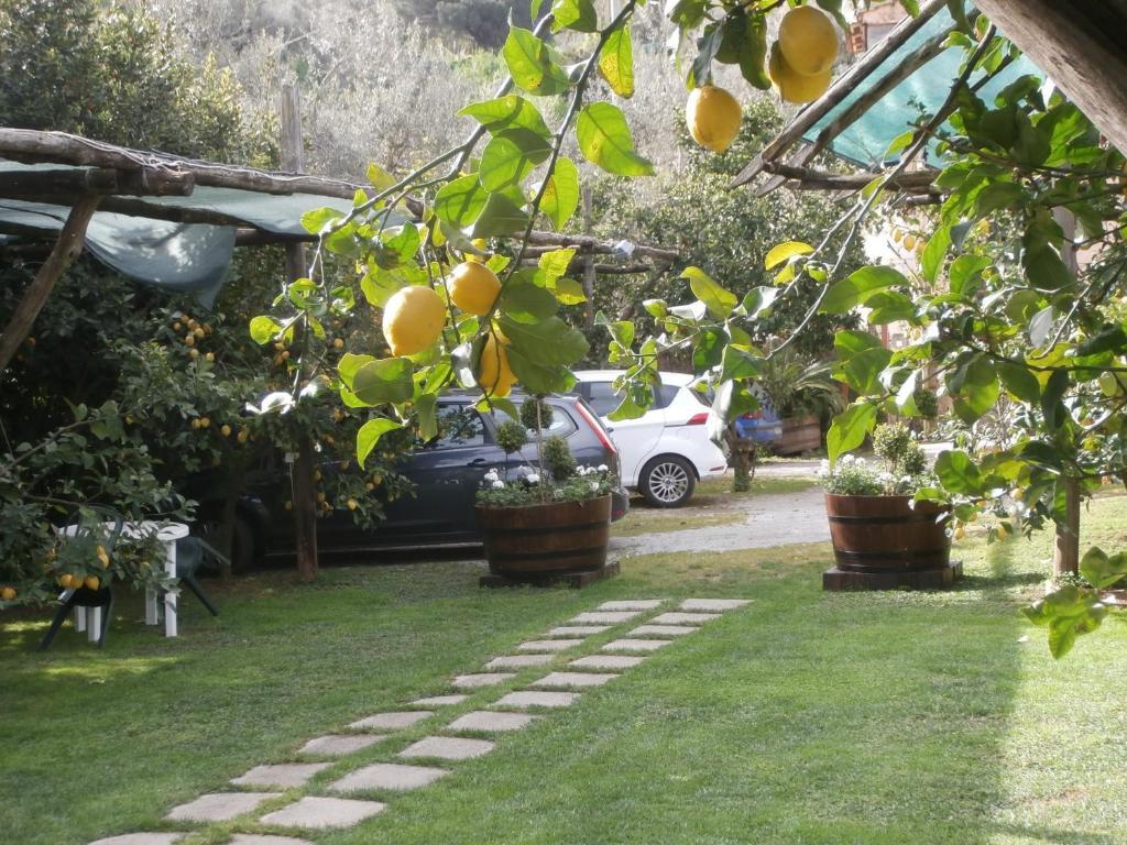 Villa De Angelis Sorrento Ngoại thất bức ảnh